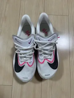 Item thumbnail for item 30ca5ff0-35fe-4e51-a2fb-2f8e823e49f7