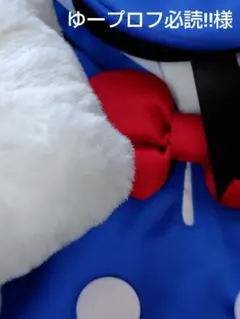 ゆープロフ必読‼︎様専用