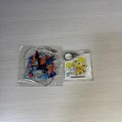 ポケモン アクリルキーホルダー アクキー メガリザードンX ピカチュウのサムネイル