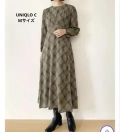 Item thumbnail for item 5fd4e65b-ae3c-4ee4-b644-feb53fc1a041