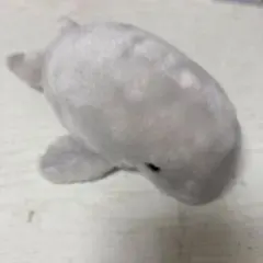 名古屋港水族館 ジュゴン ぬいぐるみ 灰色のサムネイル