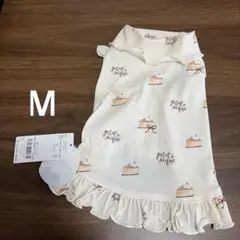 Item thumbnail for item 8f9ec627-ac03-4d72-8a53-b15e1893acd3