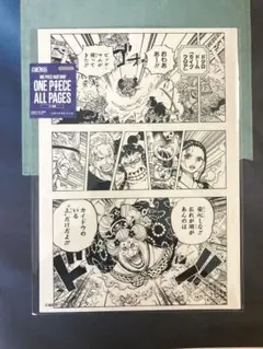 ONE PIECE ALL PAGES ワノ国編 ロロノア・ゾロ キラー - メルカリ