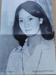 2025年最新】島田陽子◑の人気アイテム - メルカリ