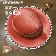 ディズニー　ジェシーファンキャップ　赤帽子2個＆ウエスタンハット茶色　合計3個 ディズニー ジェシーファンキャップ 赤帽子2個＆ウエスタン