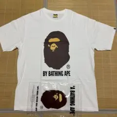 ☆希少☆A BATHING APE x Wilson コラボ Tシャツ - メルカリ