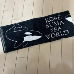 Item thumbnail for item 254d3a99-57a3-412f-aca6-8d8d8dbbb93b