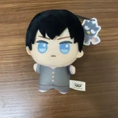 影山飛雄 ぬい