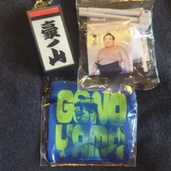豪ノ山関　大相撲ガチャ　電光掲示板風キーホルダー　三点セットのサムネイル
