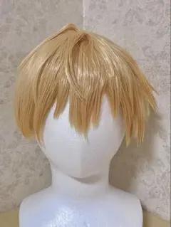 FGO fate ギルガメッシュ　コスプレ　ウィッグ　金髪　ショート セット済み