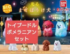 2026年最新】まてぼうけ犬 トイプードルの人気アイテム - メルカリ