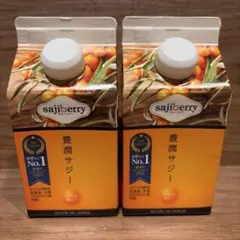 新品　フィネス　豊潤サジー お試し 300ml×2本紙パック　未開封　鉄分のサムネイル