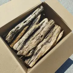 Item thumbnail for item 444fc12d-4195-4c07-b1dd-4aa2245b969c