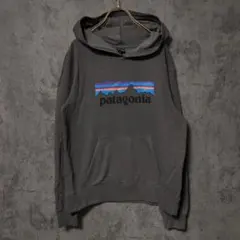 【美品】(XXL) patagonia パーカー フィッツロイ オーバーサイズのサムネイル