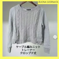 ボナジョルナータ⭐️グレー ケーブル編み ニット トレーナー クロップド