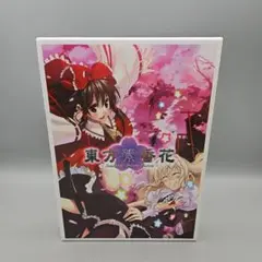 東方 VISION バラ売り 楽天市場】vision 東方の通販