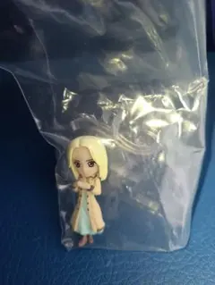 ワンピの実等まとめ売り