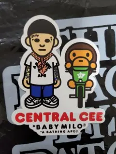 非売品 ポスター ステッカー BAPE x Spotify x SYNA