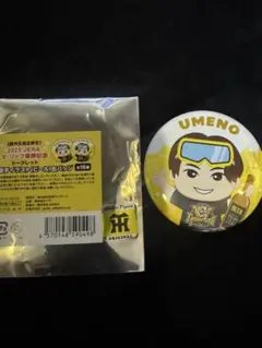 梅野隆太郎阪神百貨店限定 優勝記念 シークレット 選手イラスト缶バッジ