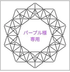 パープル様 リクエスト 6点 まとめ商品