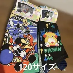 Item thumbnail for item e462cb31-26bd-423e-be45-f3f04d6c3985