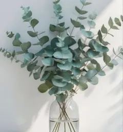 専用　　　　T6 L セントジェームス ナヴァル　ホワイト/ネイビーIENA