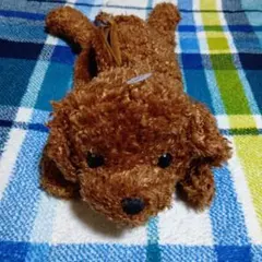 Item thumbnail for item f949d5f5-4762-4fad-bed5-d9d60cdf0b10