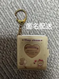 サンリオ タイニーチャム シークレット ミニチュアアルバム キーホルダー