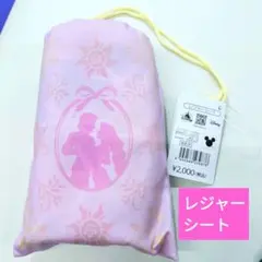 ディズニーストア塔の上のラプンツェル レジャーシート　パスカル　フリンのサムネイル