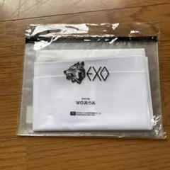 ☆EXO SM公式　FIRST YEAR タペストリー　メンバー12人のサムネイル