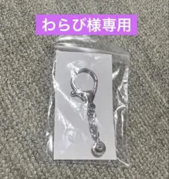 【わらび様専用】ピンズ　キーホルダー金具のみ