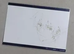 新世紀エヴァンゲリオン　エヴァンゲリオンストア　原画　ポストカード　渚カヲル