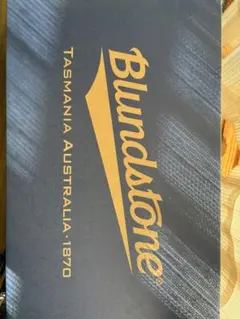 Blundstone サイドゴアブーツ BS.1604141 サイズ6のサムネイル
