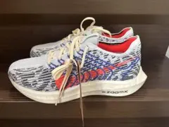 Item thumbnail for item f8b7c3d2-f108-48cb-b726-f4a306a0cf93