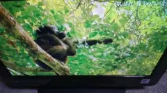 2026年最新】16インチ 液晶テレビの人気アイテム - メルカリ