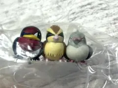 ポケモン なかよしの木2 スバメ＆ポッポ＆マメパト