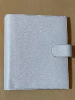 Item thumbnail for item 87939235-511c-4695-874b-95f797a38fe1