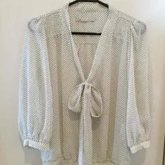 ZARA シースルーシャツ