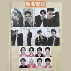 【即購入可】Stray Kids DO IT セット ID ステッカー トレカ