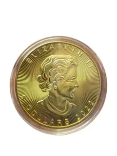 カナダmaple現代金貨アンティークコイン記念硬貨コレクション旧通貨