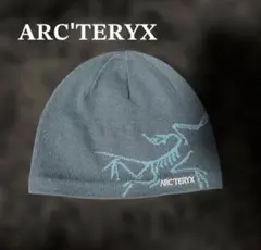 2026年最新】ARC'TERYX スキー・スノーボードアクセサリーの人気
