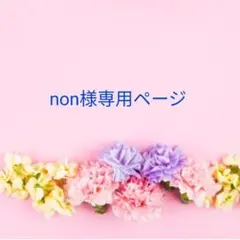 non様専用ページとなります。