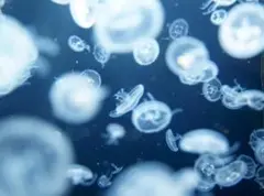 ゆず様 リクエスト 2点 まとめ商品