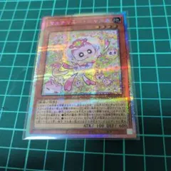 マルチャミーニャルス　プリズマ