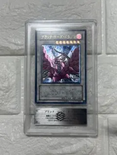 2026年最新】ブラックローズドラゴン レリーフ arsの人気アイテム