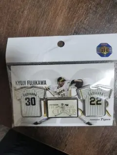 Item thumbnail for item a28e9739-6e55-4504-82ef-925988469676