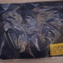 Item thumbnail for item b8f197b8-6b3f-4e76-98a3-00ae26a04a2e