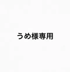 【専用】カラフルピーチ　ヴァイス