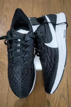 Item thumbnail for item 56bdb2a3-d1f9-496c-a571-38145ce4b3c3