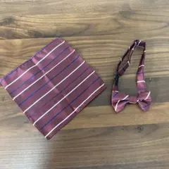 Item thumbnail for item df3f915d-8732-4c4b-93c8-d4bf09876475